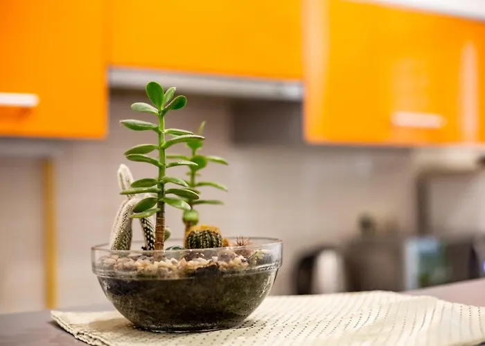 Bv Cozy In Center Apartamento *